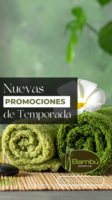 banner bambu estetica
